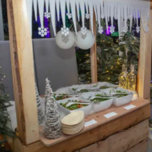 Themafeest Winter Wonderland Boeken