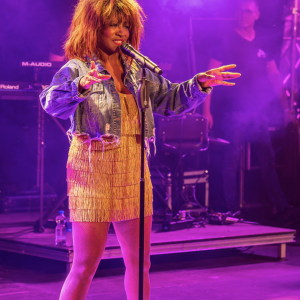 This is TINA!: A tribute to Tina Turner boeken 