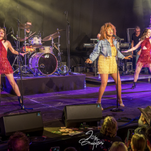 This is TINA!: A tribute to Tina Turner boeken 
