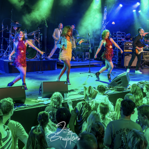 This is TINA!: A tribute to Tina Turner boeken 