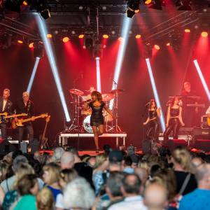 This is TINA!: A tribute to Tina Turner boeken 