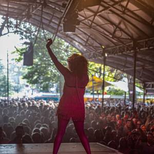 This is TINA!: A tribute to Tina Turner boeken 