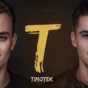 Timotek