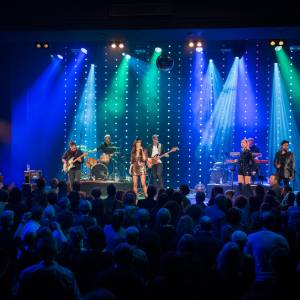 Tribute to Donna Summer by Carolina Dijkhuizen boeken