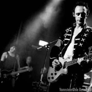 Vannstein: a Tribute to Rammstein boeken