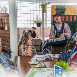 ZneriK: Piano Troubadour & Zorgmuzikant Boeken