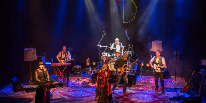 Fleetwood Back: A tribute to Fleetwood Mac boeken