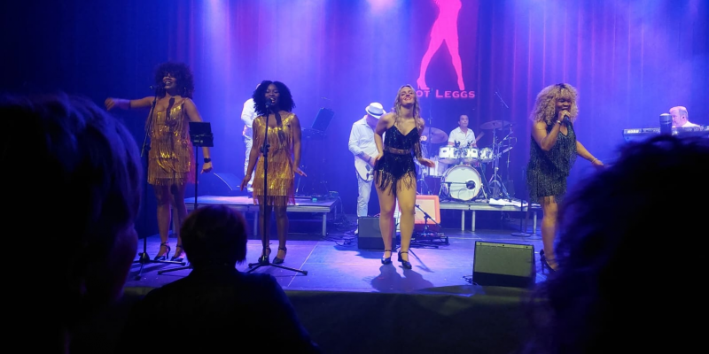 Hot Leggs: Tina Turner Tribute boeken