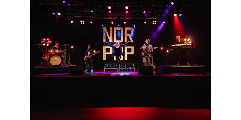 NDRPOP: A tribute to Nederpop boeken