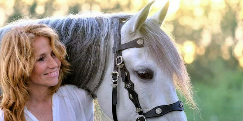 Paard van Sinterklaas