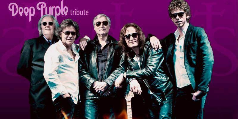 Stormbringer: A tribute to Deep Purple boeken